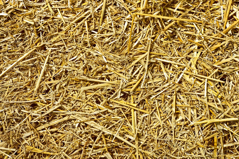 Straw Mulch